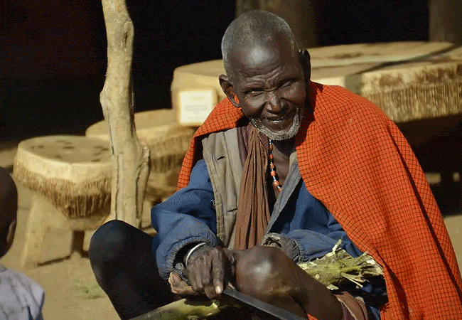 Masai Village 1-Day Tour Experience