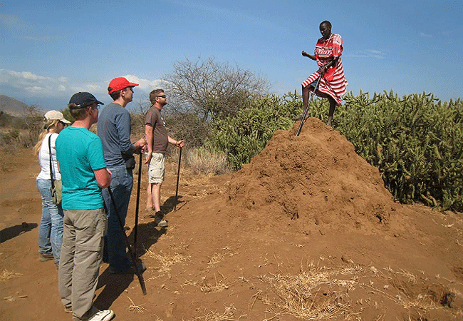 Masai Village 1-Day Tour Experience
