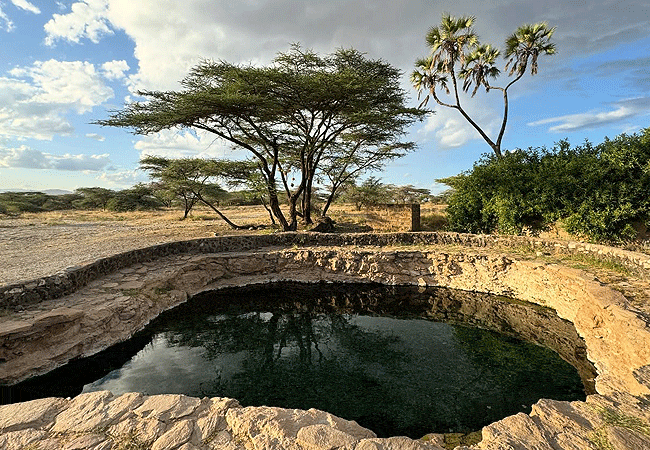 Surana Buffalo Springs Camp