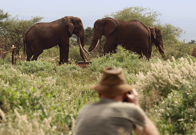 Tulia Amboseli Safari Camp Kenya