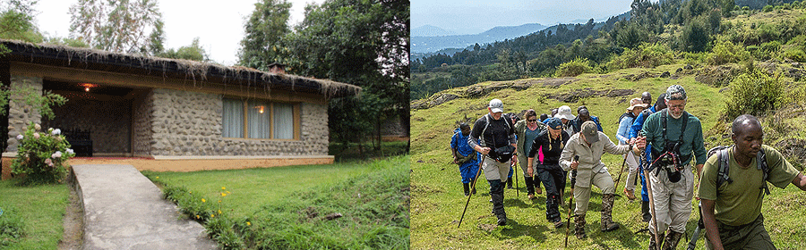 Mountain Gorilla View Lodge Volcanoes National Park Rwanda