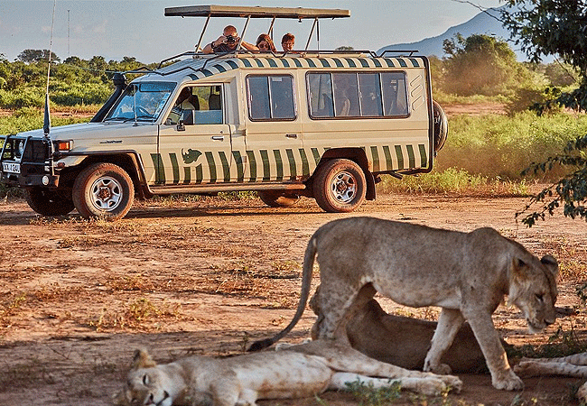 2 Day Luxury Safari Ngutuni Lodge