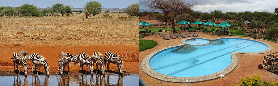2 Day Luxury Safari Ngutuni Lodge