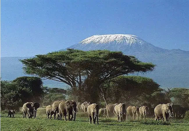 3-day-luxury-fly-in-safari-amboseli-serena-safari-lodge-kilimanjaro-view 3 Day Fly-In Safari Amboseli Serena Safari Lodge