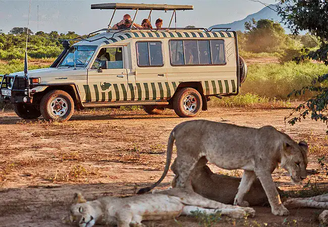 3-day-ngutuni-lodge-ziwani-voyager-camp-safari-ngutuni-safari-lodge-tsavo-east-national-park-game-drives 3 Day Ngutuni Lodge & Ziwani Voyager Camp Safari