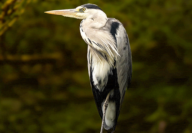 Crater Lake Game Sanctuary Naivasha