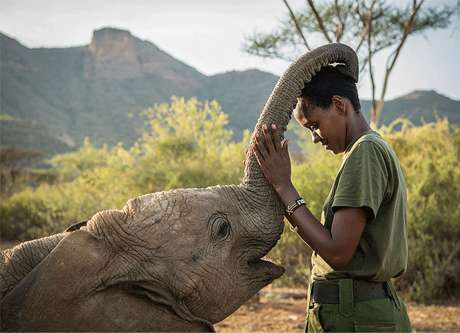 Lions Cave Camp Samburu National Reserve Kenya