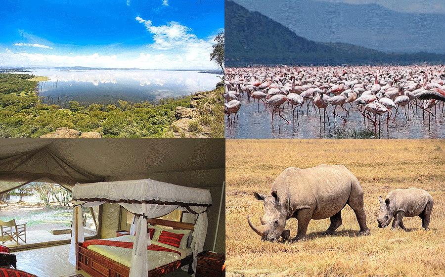 5 Day Masai Mara & Lake Nakuru Budget Safari
