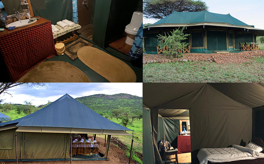 domel-wilderness-camp-serengeti Domel Wilderness Camp Serengeti National Park
