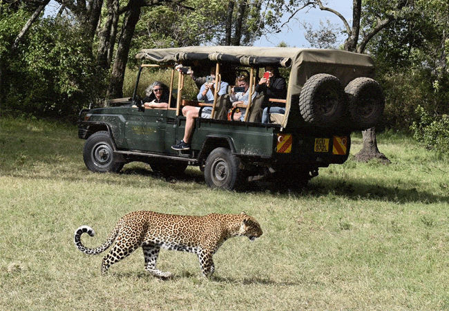 Mara Siana Camp Mara Ripoi Conservancy Masai Mara National Reserve