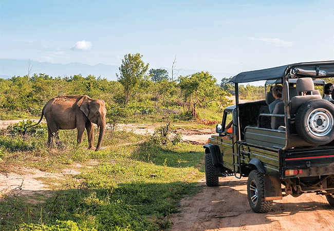kudu-safari-camp -tsavo-east-national-park-game-drive Kudu Safari Camp Tsavo East National Park
