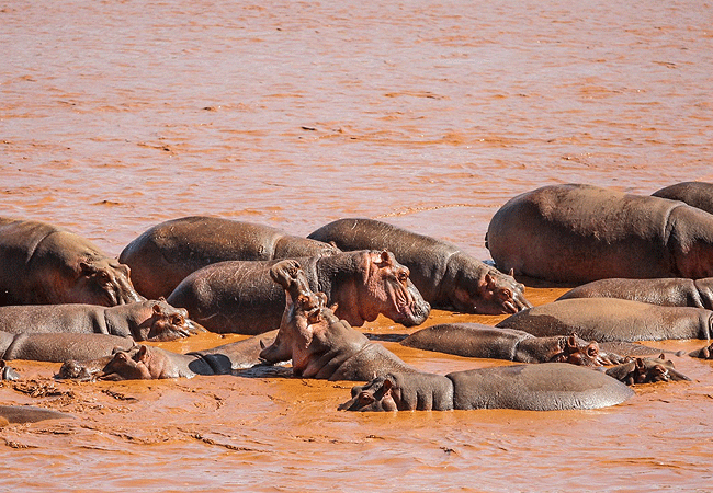 kudu-safari-camp -tsavo-east-national-park-is-in-a-prime-location-by-the-galána-river-with-hippos-at-a-stone-throw Kudu Safari Camp Tsavo East National Park