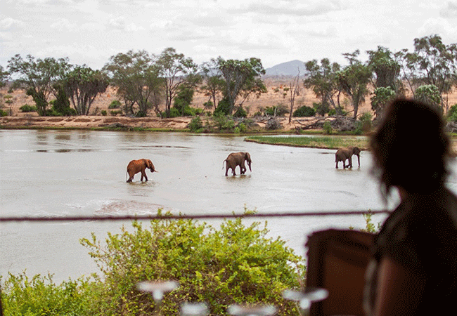 kudu-safari-camp -tsavo-east-national-park-is-located-with-a-stunning-view-on-the-river- where-you-can-see elephants- giraffes-and-other-animals Kudu Safari Camp Tsavo East National Park