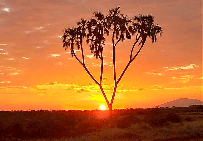 soroi-samburu-lodge-samburu-national-reserve-sun-rise Soroi Samburu Lodge Samburu National Reserve