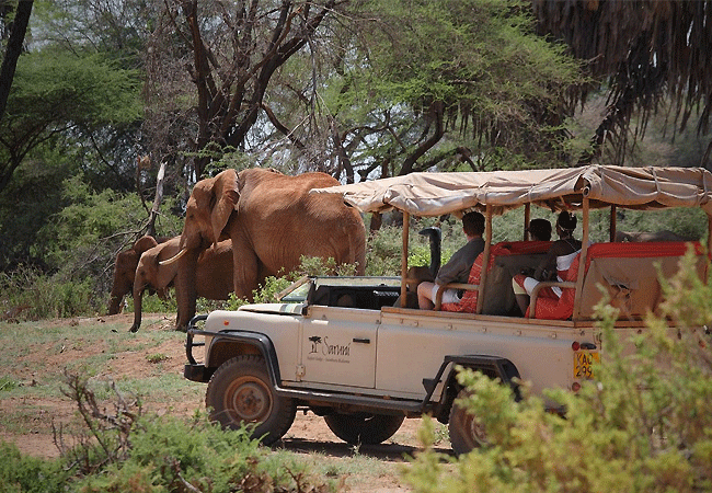 Samburu National Reserve