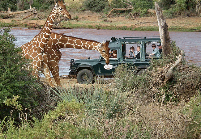 Samburu National Reserve