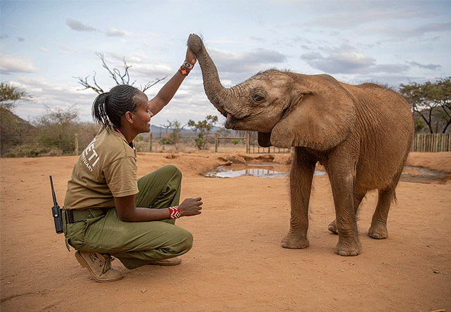 Samburu National Reserve