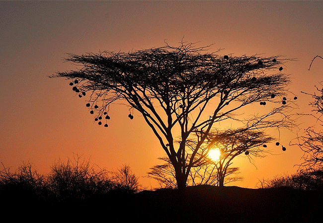 Samburu National Reserve