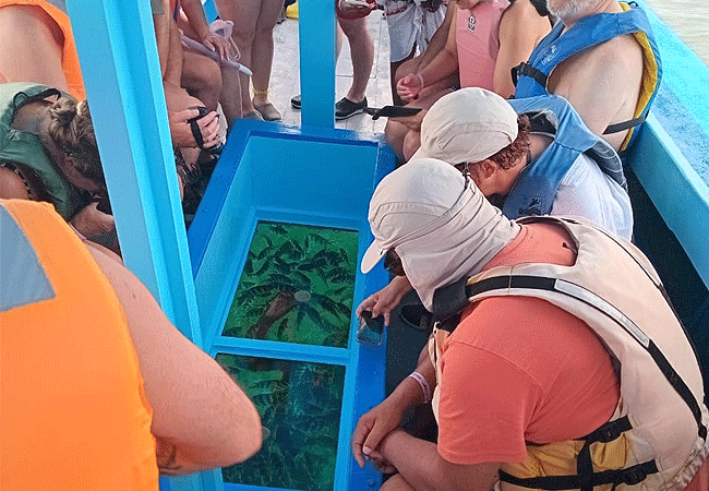 Mombasa Marine National Park and Reserve