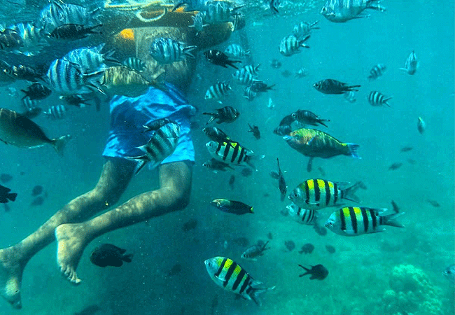 Mombasa Marine National Park and Reserve