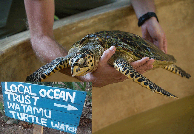 Watamu Marine National Park & Reserve,