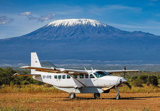 Amboseli 1 Day Fly-In Safari from Nairobi