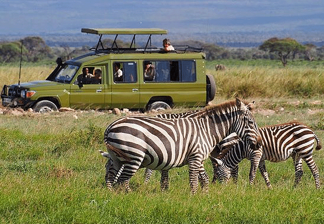 Amboseli 1-Day Fly-In Safari from Nairobi