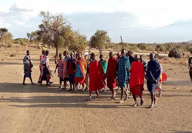 Amboseli 1 Day Fly-In Safari from Nairobi
