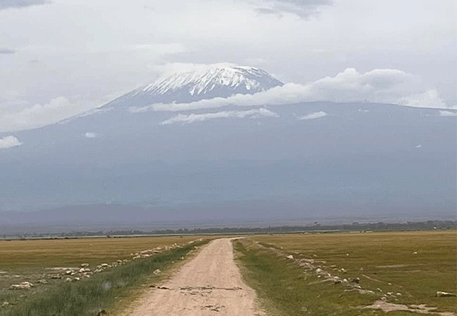 Amboseli 1 Day Fly-In Safari from Nairobi