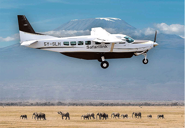 Amboseli 1-Day Fly-In Safari from Nairobi