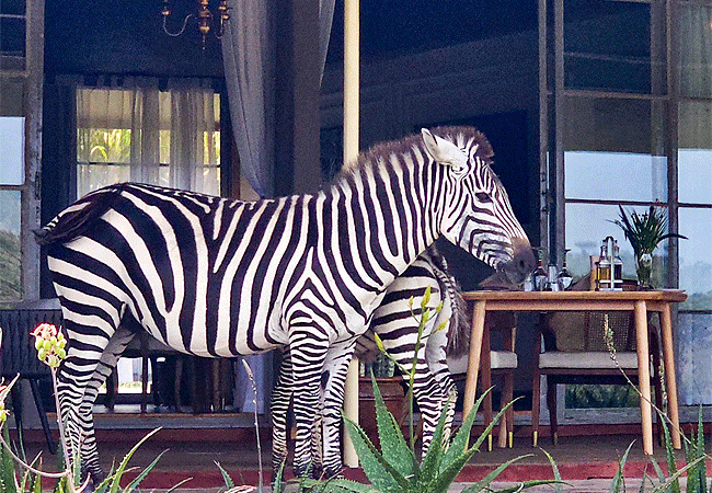 Lalashe Mara Ripoi luxury tented camp