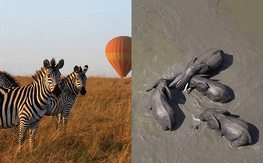 Balloon Safaris Masai Mara Kenya