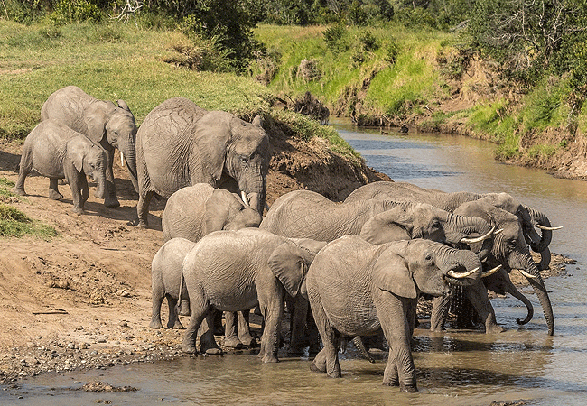 Ol Pejeta Conservancy