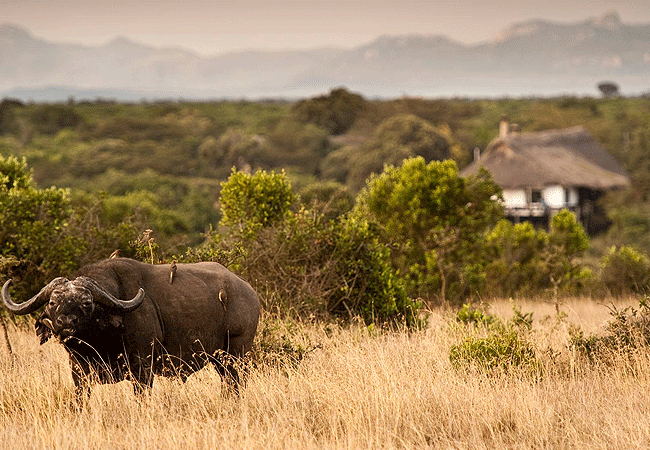 Ol Pejeta Conservancy
