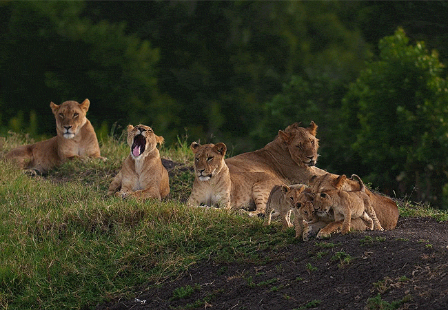 Ol Pejeta Conservancy
