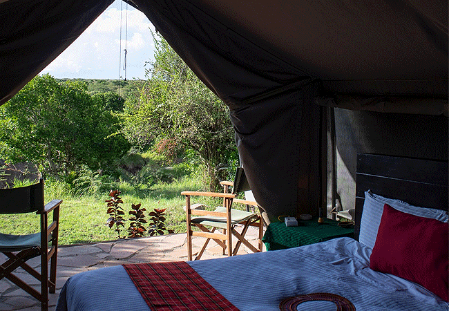 olimba-camp-masai-mara-guest-room Olimba Camp Masai Mara