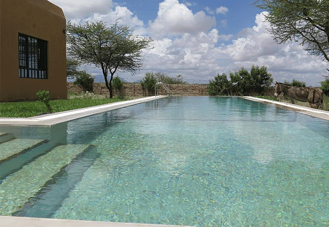 Samburu Dik-Dik Lodge