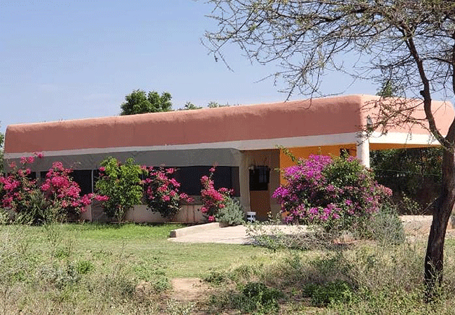 Samburu Dik-Dik Lodge