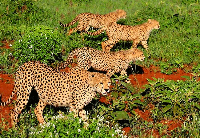 Taita Hills Wildlife Sanctuary