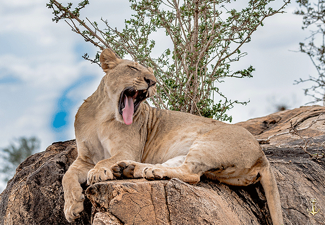Taita Hills Wildlife Sanctuary