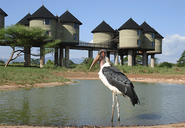 Taita Hills Wildlife Sanctuary