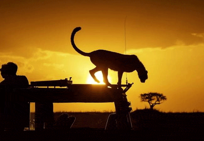 Taita Hills Wildlife Sanctuary