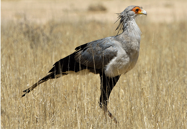 Taita Hills Wildlife Sanctuary