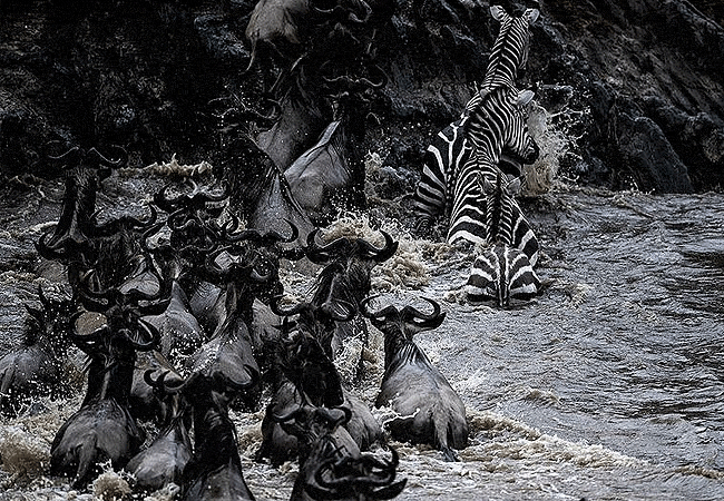 Ilora Retreats Masai Mara Luxury Camp