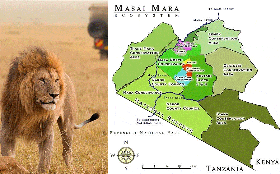 Masai Mara National Reserve & Conservancies