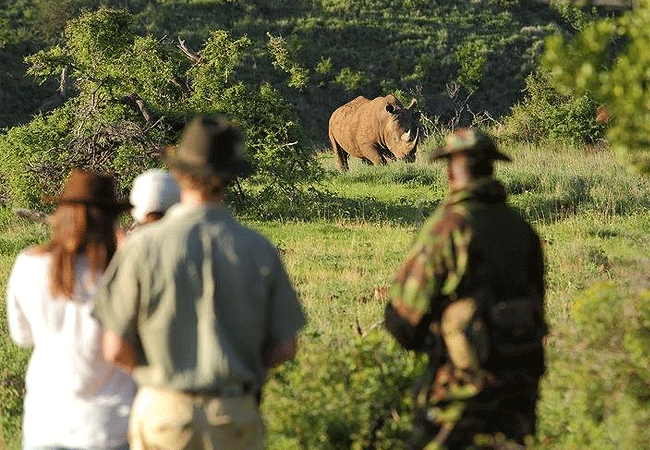 borana-conservancy-guided-nature-walk Borana Conservancy