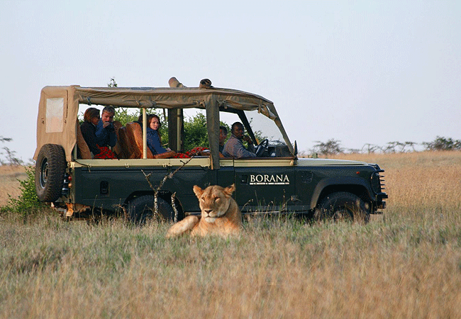 borana-conservancy-laikipia-kenya-game-drive Borana Conservancy