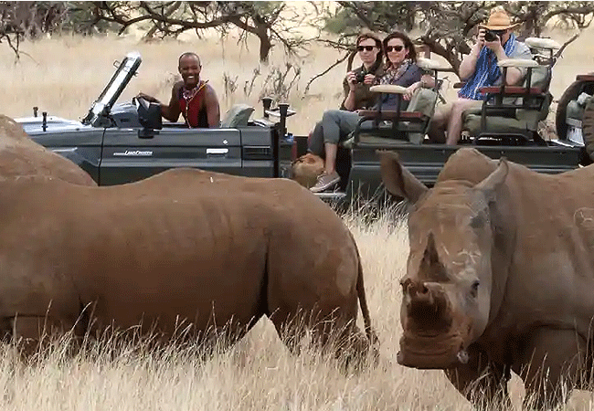 borana-conservancy-laikipia-kenya-game-drives Borana Conservancy