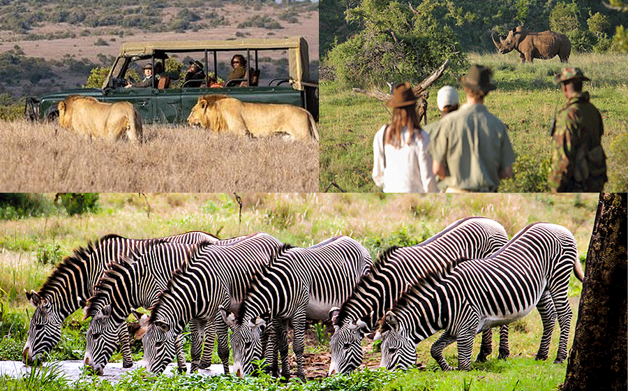 borana-conservancy Borana Conservancy