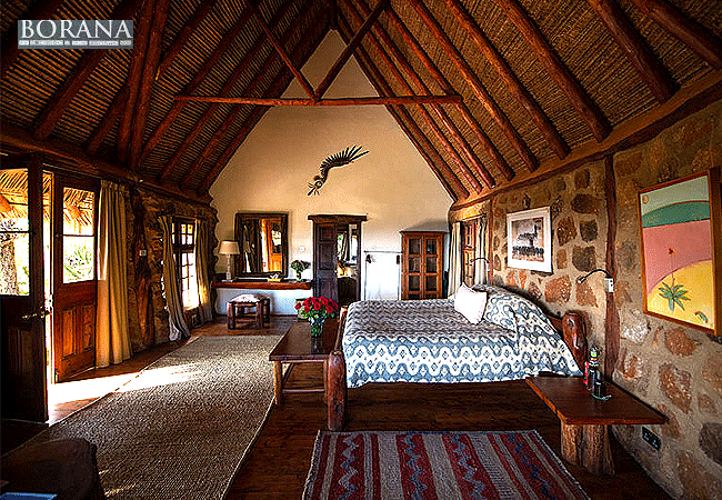 borana-lodge-borana-conservancy-kenya Borana Ranch & Safari Lodge